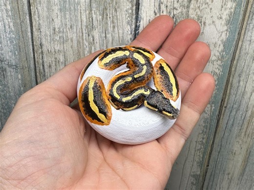 Ball Python Figurine - Etsy