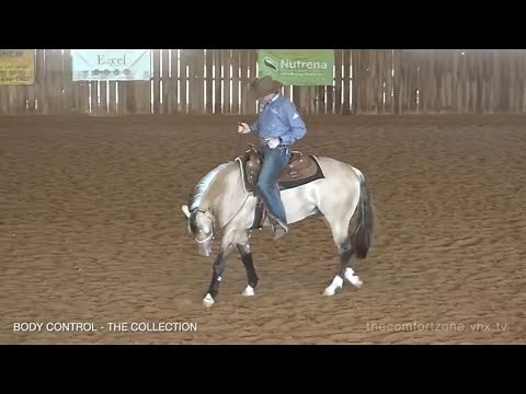 COLLECTION EXPLAINED! How and Why we Collect our Horses
