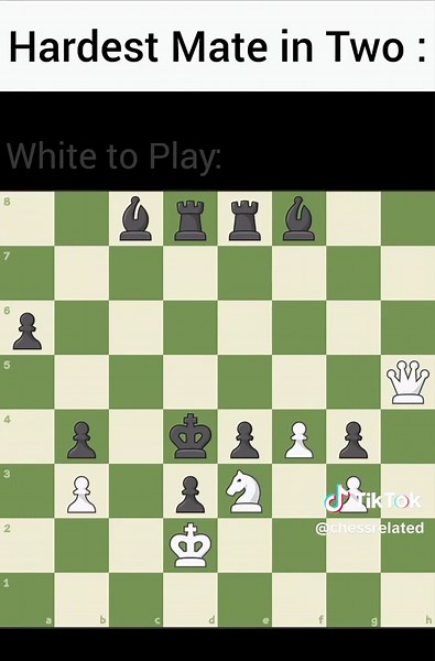 CHESS MAGNUS on TikTok