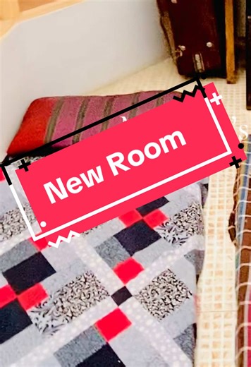 Discovering Dreams in a New Hostel Room