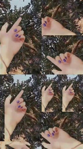 Ye soch ke dil mera joro se dhadakta hai" - hand dance #youtube #short_video #vairal video