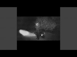 Melancholy Fields (Live)