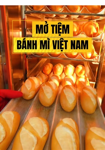 Mở tiệm bánh mì Việt Nam ở Mỹ, Pháp, Úc, Singapore thì nên chọn lò nướng bánh mì nào phù hợp? #vietnamesebanhmi #banhmisaigon #tiembanhmi