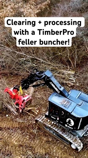 Clearing and processing brush with a TimberPro feller buncher #heavyequipment #operator #forestry