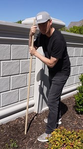 Coolest birdhouse around! 🦜 #birdwatching #whatsinside #birdlovers #birds | What's Inside?