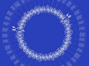 Particle Accelerators - Backstage Science