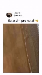 330K views · 12K reactions | Que amor de vídeooo勺勺 | Melzinha mini | Facebook