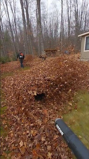 Echo 9010 blowers pushing massive piles