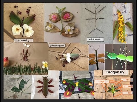 Quirky Insect Art - Explore beyond the classroom, creating insects from natural found materials.