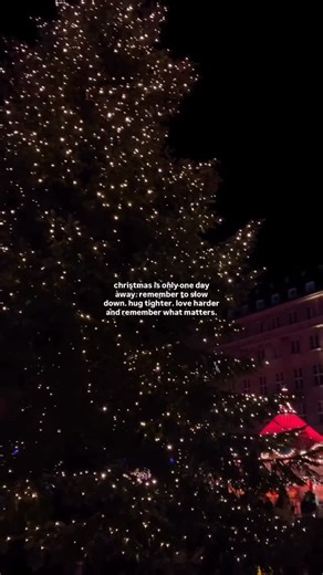 Mally Roncal on Instagram: "This is your reminder to allow yourself to slow down, enjoy the magical moments of Christmas, and take time for yourself. Watch a holiday movie, make cookies, and be with the ones you love. ❤️ Sending so much love to you and your family!! God bless you!! 🙏🏽"