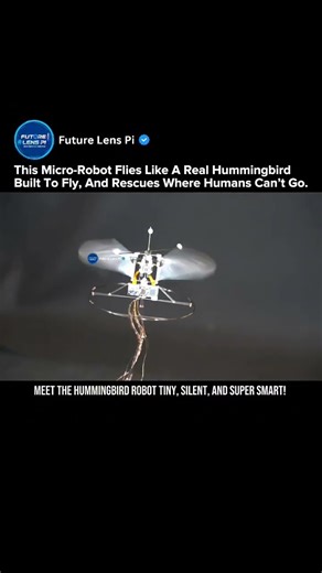 This AI Hummingbird Robot Can Fly in Darkness & Find Survivors #robot #hummingbird #shorts #drone