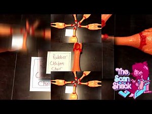 (YTPMV) Biggest and Loudest Rubber Chicken Choir Performs Jingle Bells - Archie McPhee Scan