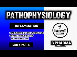 Mediators Of Inflatlmmation | Basic Principle Of Wound Healing In The Skin | Pathophysiology
