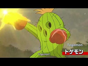 Palmon evolui para... Togemon