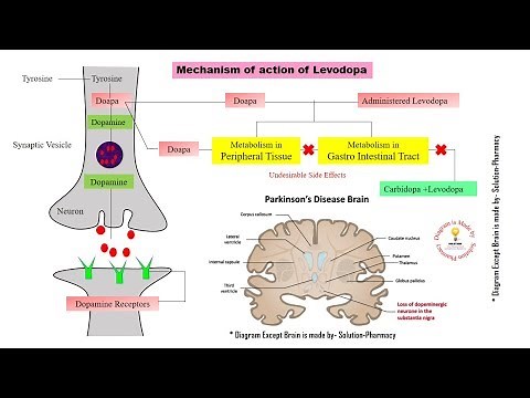 Parkinson's Disease | Mechanism of Action of Levodopa and Carbidopa | Parkinsonism | Levodopa