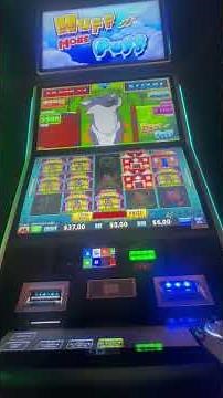 Big Win or Bust on Huff n' More Puff #luckyspins #shorts #slots