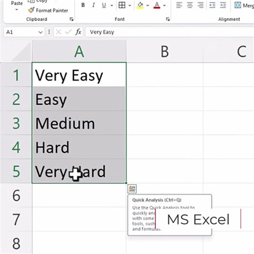 MS Excel Adding a Drop Down List