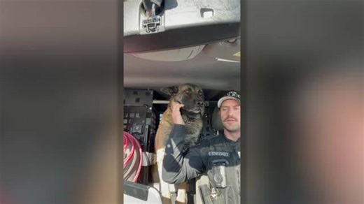 K-9 officer receives farewell radio call to mark his retirement
