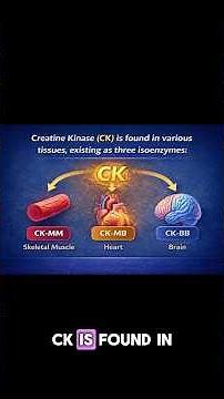 Clinical Chemistry - CK Levels