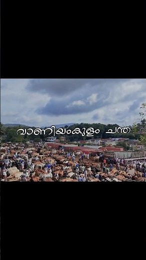 വാണിയംകുളം ചന്ത
