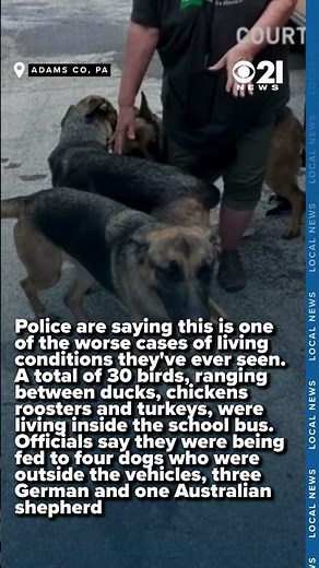 Bestiality Bus: Animals found in deplorable conditions, some allegedly used for sexual purposes