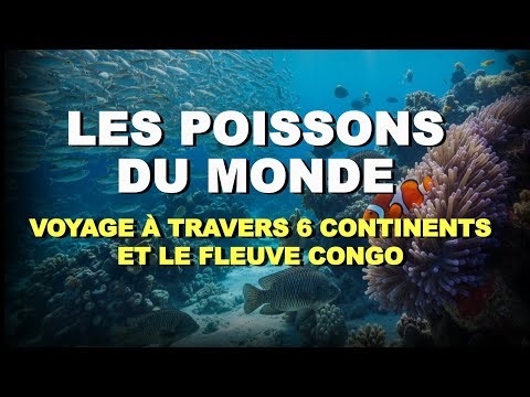 🌍 Fish of the World: Journey through 6 Continents and the Congo River (Full Documentary)