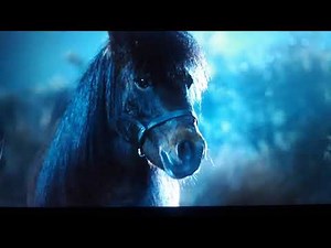 Racing Stripes: The Blue Moon Racers