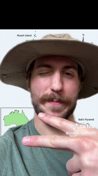 The comeback of the century 🌿🪲 #insect #ecology #bugs #nature #animals #wildlife #hiking #forest #science #taxonomy #documentary #photography #entomology #news #australia