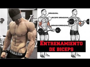 ENTRENAMIENTO DE BICEPS (rutina intensa) ¡SETS Y REPETICIONES COMPLETAS!