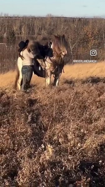 171K views · 3.7K reactions | First ride on SD Alfys Ruby since she...