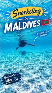 Snorkeling in Maldives 🇲🇻🌊 | Crystal Clear Underwater World 🐠