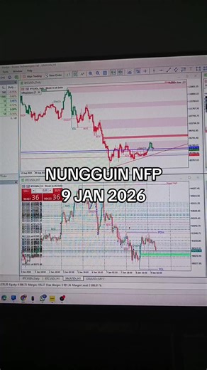 Trading Strategies for NFP January 2026