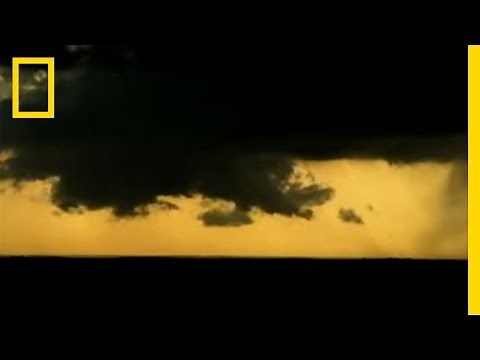 Struck by Lightning | National Geographic