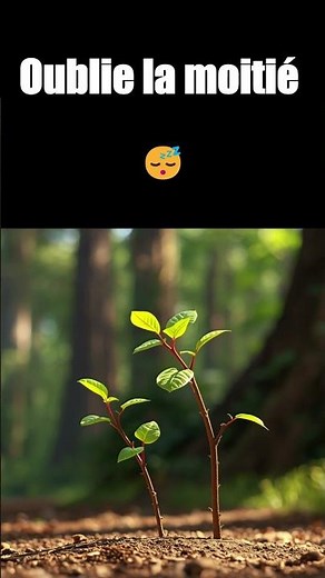 L'écureuil est le JARDINIER secret de la forêt 🐿️🌳 #nature #animaux #animauxeurope
