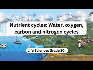 Nutrient Cycles: Water, Oxygen, Carbon & Nitrogen Explained!