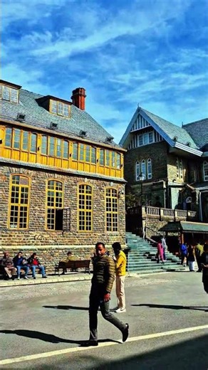 Shimla High End Cafe | Shimla vlog | vlogs #shimlavlog #travel #vlog #shorts