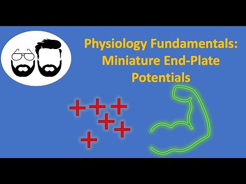 Physiology Fundamentals: Miniature End Plate Potentials