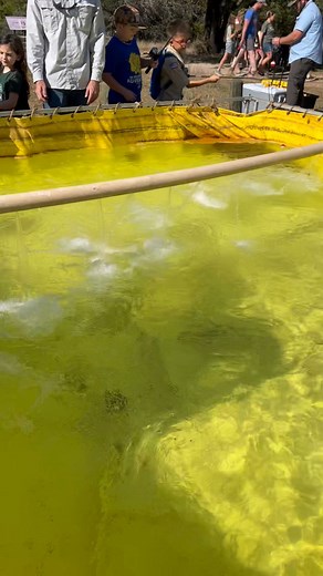 Dinosaur Valley State Park - Texas Parks and Wildlife on Reels | Facebook