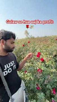 Ek din mein ₹5600 ki kamai? 🌹 Rose Farming in India #shorts #minivlog #earning