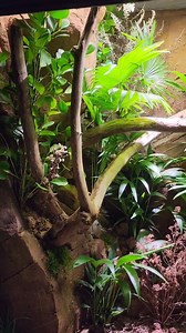 138K views · 1.4K reactions | Schon mal gesehen, wie ein Zoo eine...