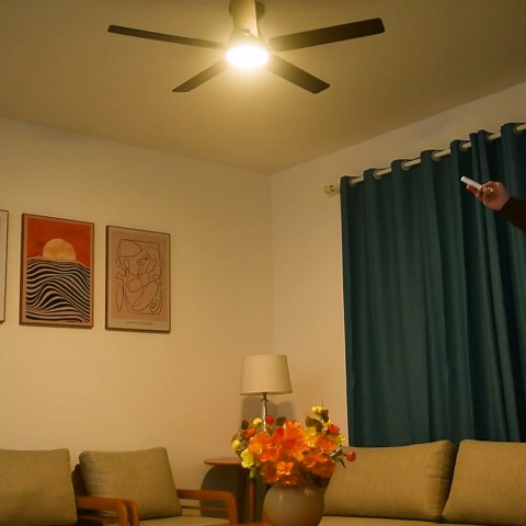 CEME Smart Low Profile Ceiling Fan with Lights, DC 10 Speeds Smart Ceiling Fan with Remote, Compatible with Alexa, Siri & Google Home & APP, 3 Light Colors Dimmable Flush Mount, Black, 52"