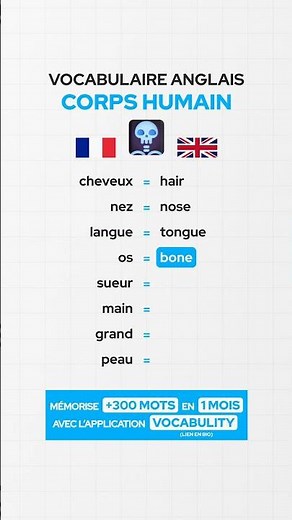 English vocabulary related to the human body 🇬🇧