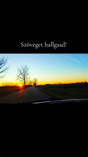 💜_n_n_94_💜 (@_n_n_94) videója, benne: eredeti hang - László Péter