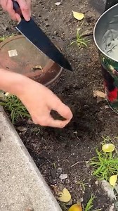 2.8K views · 11 reactions | Easy DIY decor for spring  This video was produced by Network Media and Polina G | Mr. Verde's Skits & Scenes | Facebook