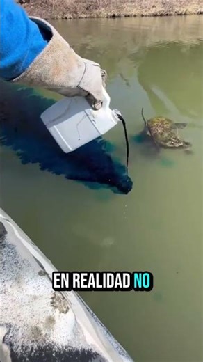 La verdad detrás del lago azul!