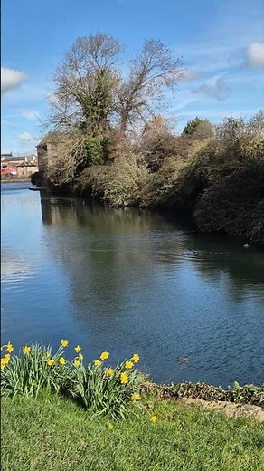 Chichester canal and Cathedral reflection.
