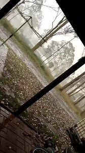 Hail Pours Down in Southeast Queensland As Thunderstorm Rocks Area