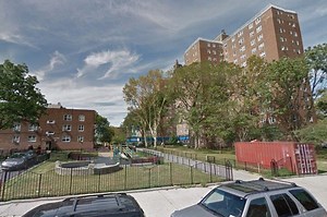 40 Percent of Surveyed Red Hook Houses Residents Say They're Living With Mold