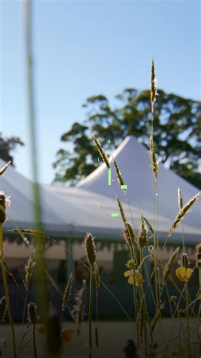 New Series | The Great British Bake Off, Tomorrow 8pm on Channel 4 🍰 | Channel 4