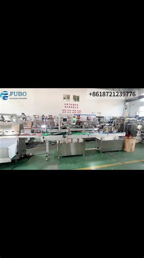 Servo system beef strips vacuum sachet orientation sorting counting machine
